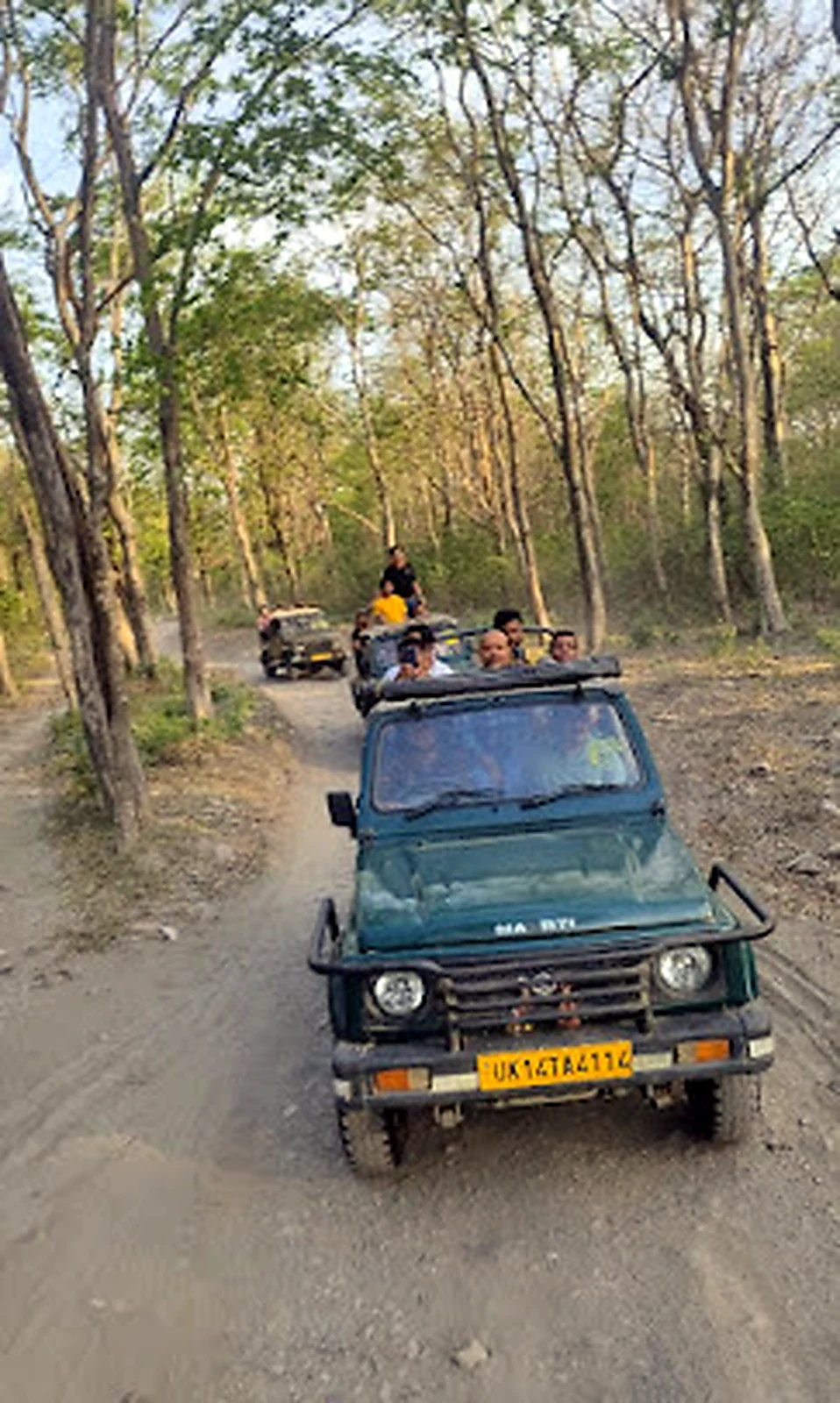 Jeep travelling along a wooded track near Rishikesh