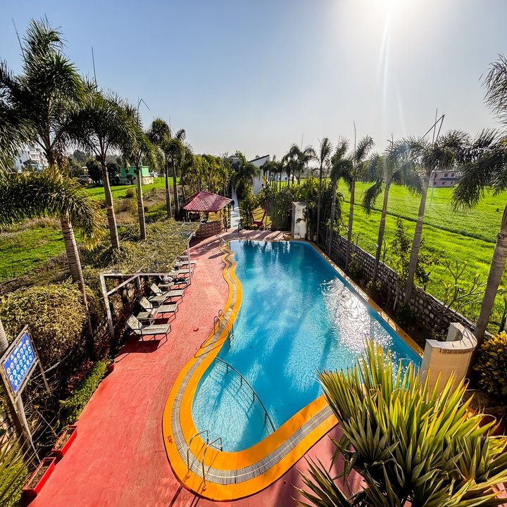 Outdoor swimming pool surrounded by greenery at The Neeraj
